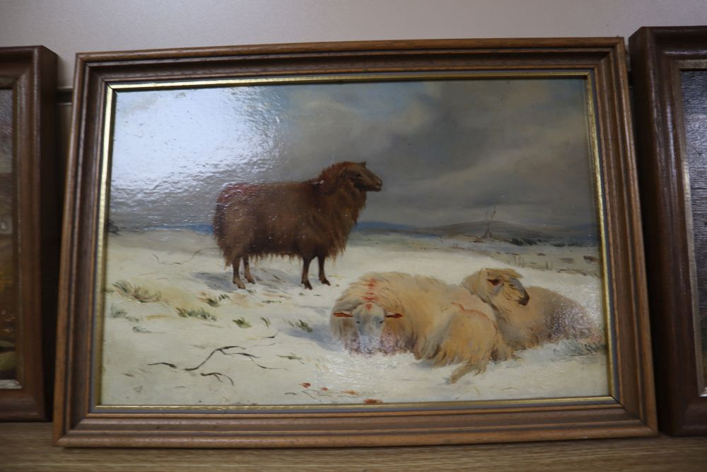 19th century English School, oil on mill board, Sheep in winter, 19 x 30cm, a pair of oils of horses and cattle by A.F. Barnes, 1913 an